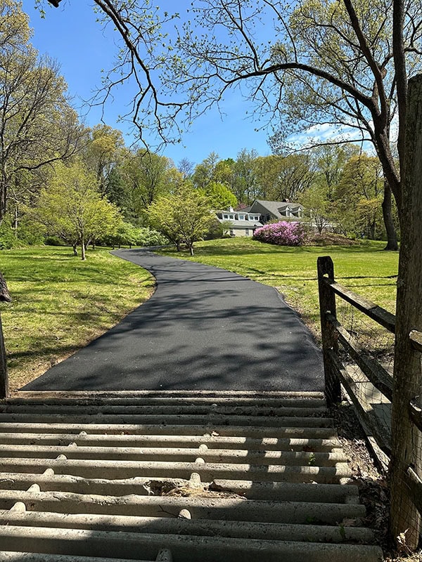 Steps lead to a paved path winding through a green park toward a house with trees and blue sky.